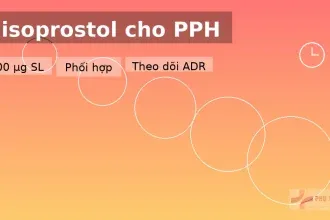 Misoprostol cho băng huyết sau sinh (PPH): 800 µg SL, khi nào phối hợp?