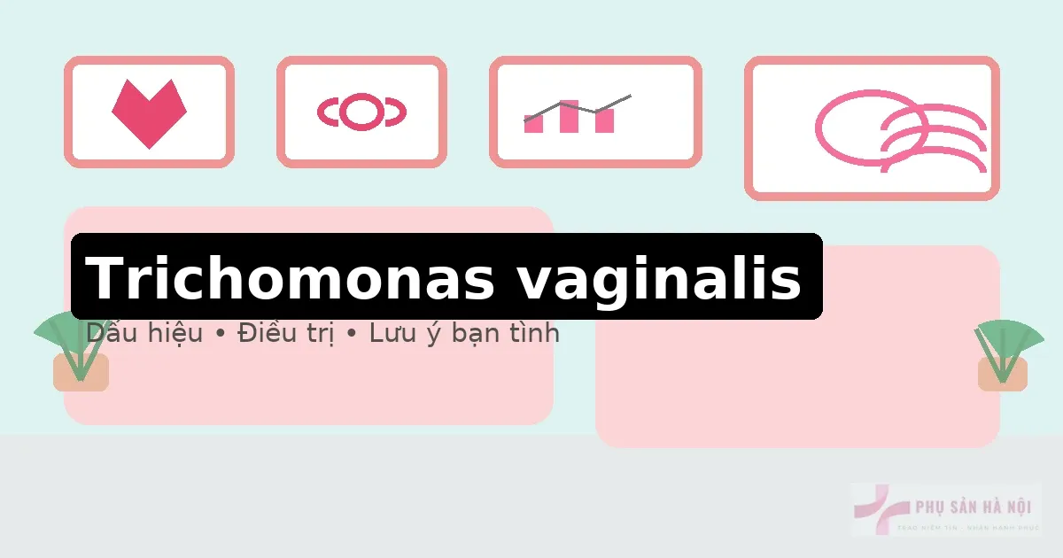 Trichomonas vaginalis là gì? Dấu hiệu và điều trị Trichomonas vaginalis: dấu hiệu và điều trị